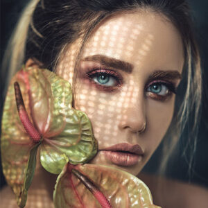 image-gallery-01